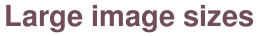 Large image sizes